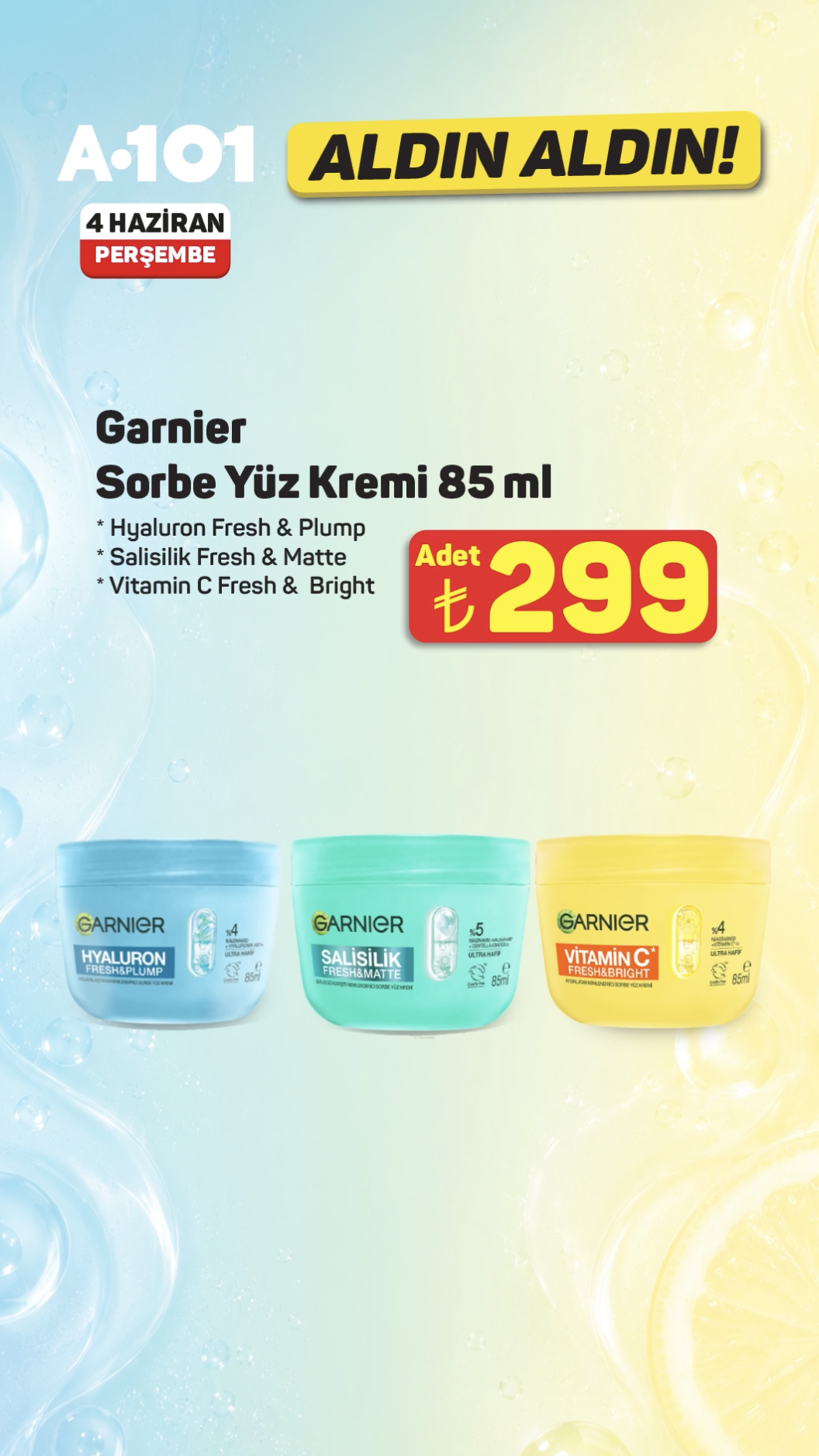 A101 X  Garnier